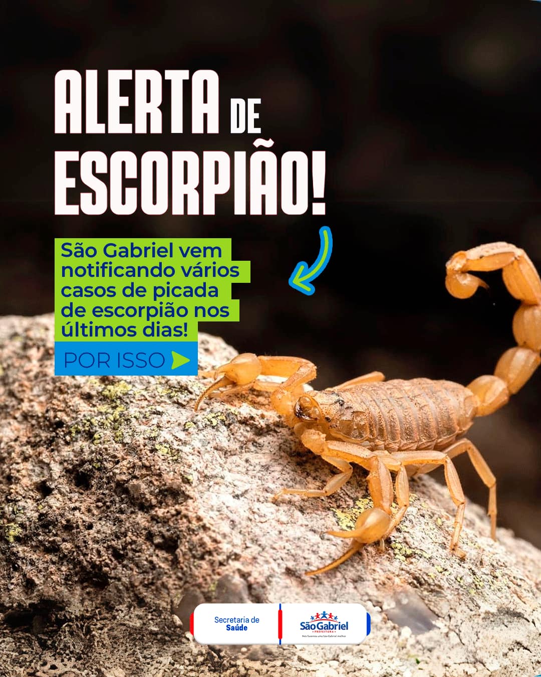 Alerta Escorpião