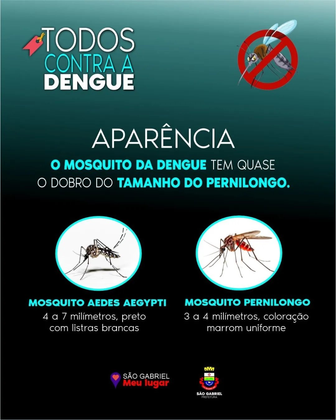 TODOS CONTRA A DENGUE