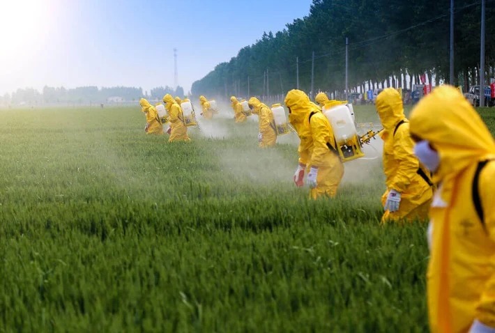 CURSO PROFISSIONALIZANTE ENSINA MANEJO DE DEFENSIVOS AGRÍCOLAS